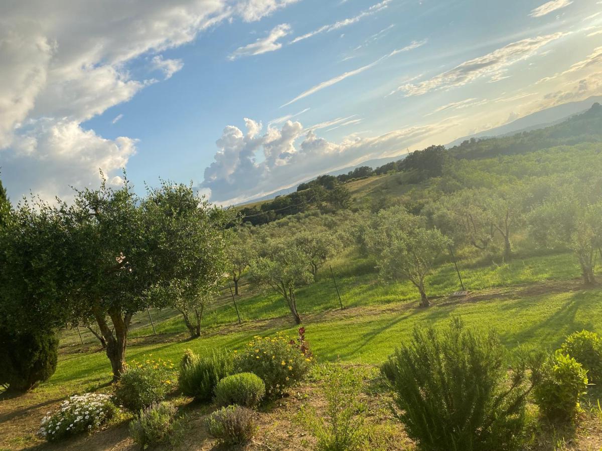 Agriturismo Palazzo Val Del Sasso Villa Villastrada  Dış mekan fotoğraf